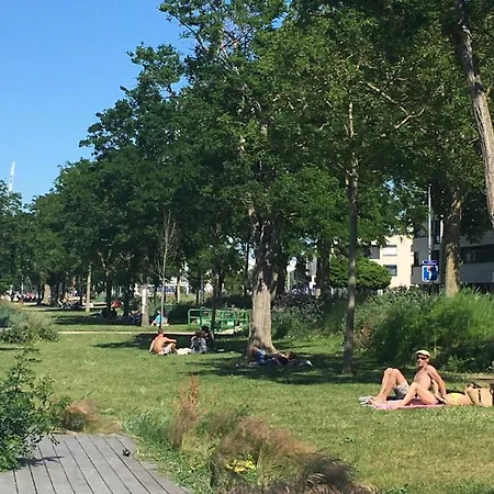 Detente Au Coeur De La Rochelle *